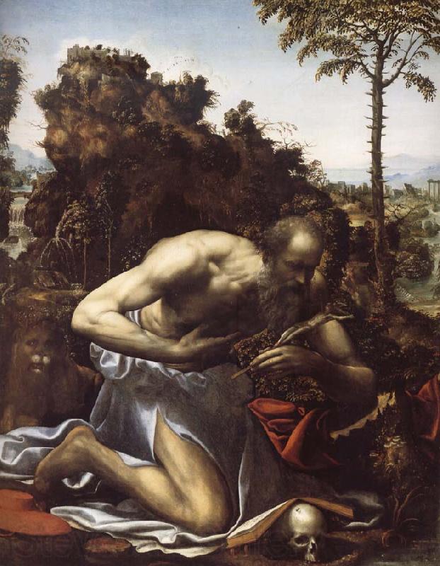 SODOMA, Il Saint Jerome in Penitence